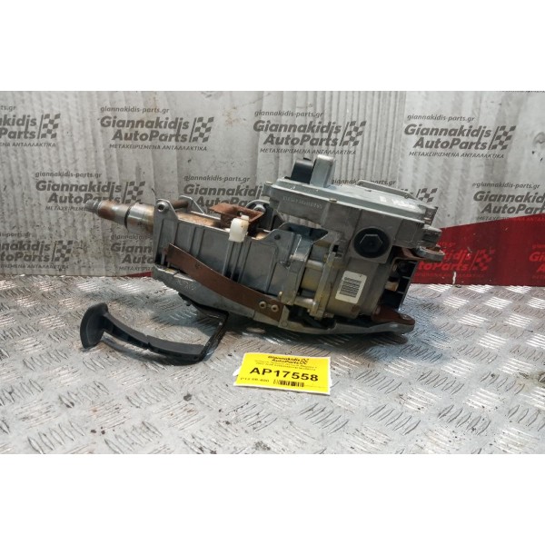 Κολώνα τιμονιού Renault Megane II 2002-2005 8200246631B 50300374